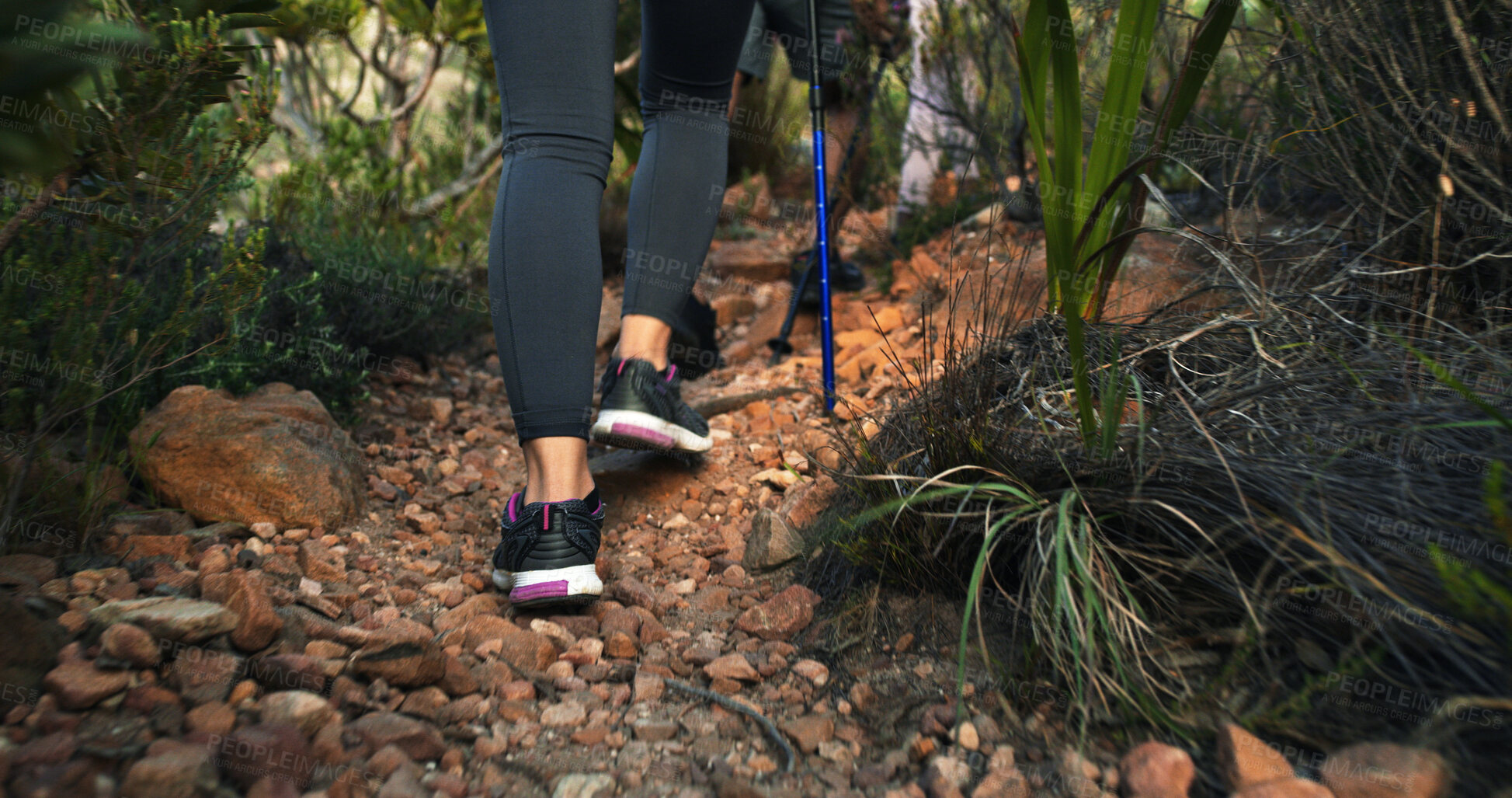 Buy stock photo Trail, legs or person in nature for trekking journey, outdoor adventure or walking in footwear. Hiking, back or shoes of hiker in forest for travel, vacation or hobby for tourism discovery with stick