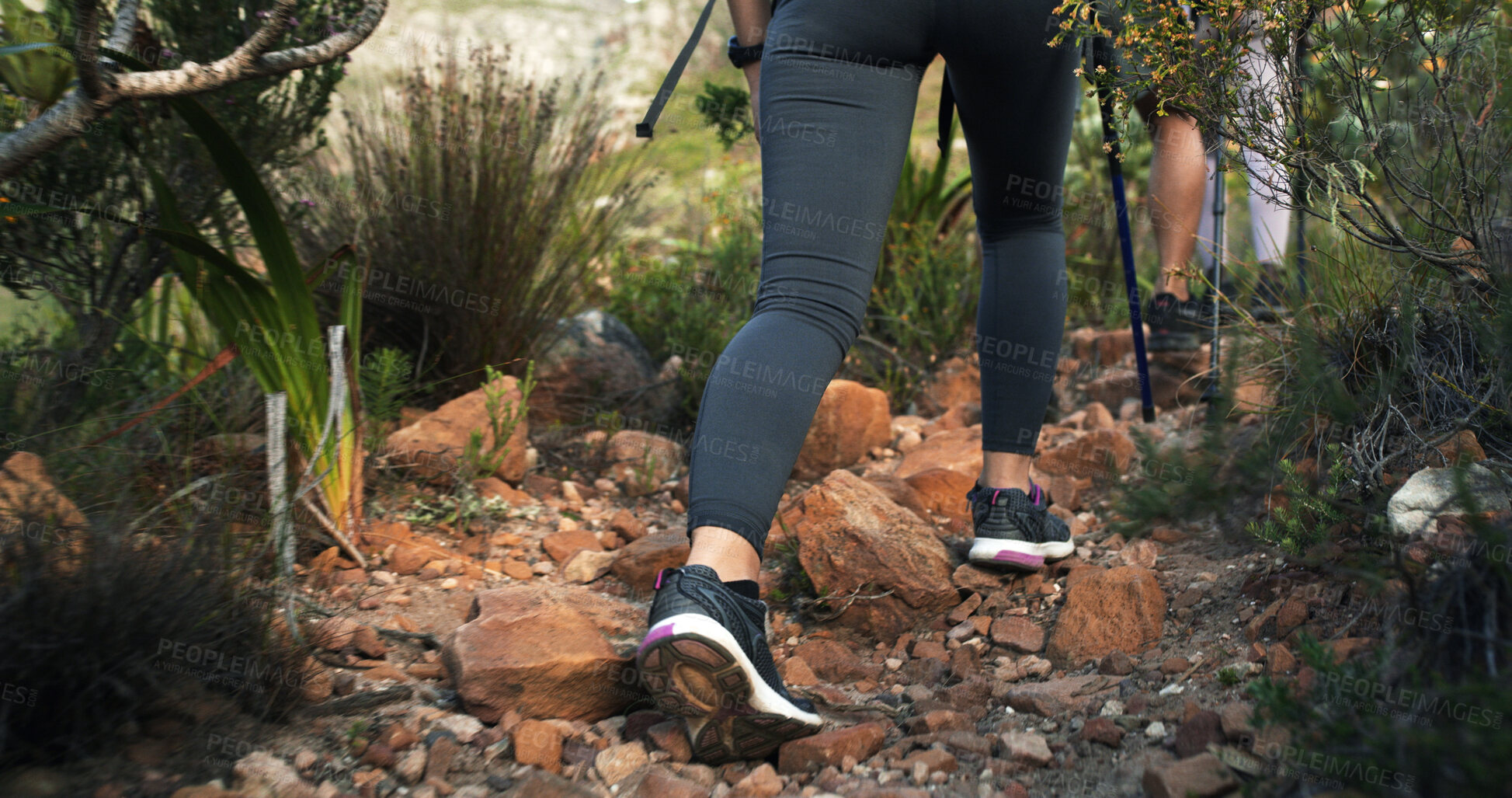 Buy stock photo Walk, legs or person on trail for trekking journey, outdoor adventure or hiking together. Back, footwear or shoes of hikers in forest for travel, vacation or hobby for tourism discovery with stick