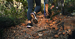 Hill, legs or people in nature for trekking journey, outdoor adventure or walk together. Trail, footwear or shoes of hikers in forest for travel, vacation or hobby for tourism discovery with friends