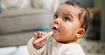 Eating, cute and cookie with baby in home for teething biscuit, nutrition and calcium snack for growth. Food, weaning rusk and healthy diet with kid in living room of family house for development