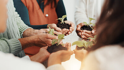 Buy stock photo Hands, sprout and business people in circle in office for sustainability, charity or social responsibility. Teamwork, conservation and group of employees with plant in soil for collaboration.