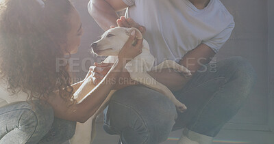 Buy stock photo Animal shelter, volunteers and people with dog, affection or bonding with domestic canine or charity. Community service, man and collaboration with woman, petting and foster care of furry companion
