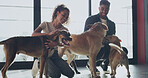 Happy, adoption center and couple with dogs for bonding, companion and care at sanctuary. Animal shelter, rescue and man with woman for fostering pets, volunteering and community service at kennel