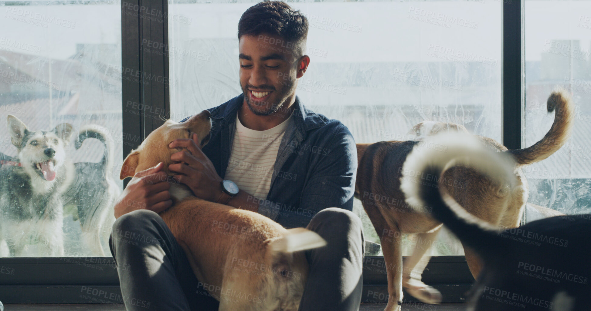 Buy stock photo Adoption center, happy and man with dog for bonding, companion and comforting in kennel. Animal shelter, rescue sanctuary and person with pets for foster care, volunteer work and community service