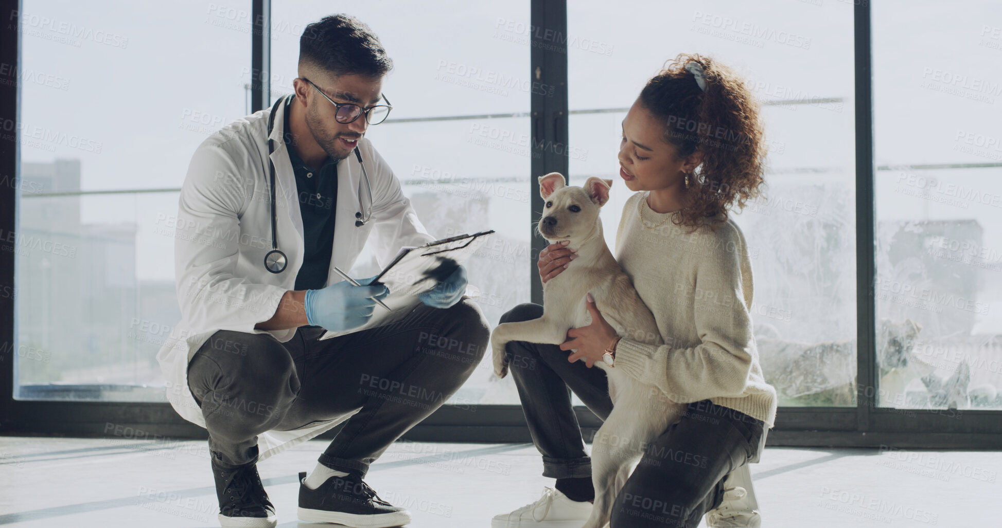 Buy stock photo Man, veterinarian and pet owner with dog for animal welfare, petcare or checkup in clinic. Male person, vet and woman with canine in consult for adoption, medical assessment or treatment at shelter