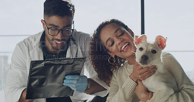Buy stock photo Writing, veterinary and dog with woman in clinic for appointment, support and pet care. Animal welfare, medical treatment and help with man and puppy for checkup, diagnosis and healthcare together