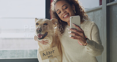 Buy stock photo Selfie, adoption and dog with woman in shelter for social media, pet promotion and profile picture. Photography post, foster care and animal welfare with person and Labrador in rescue center