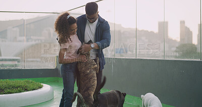 Buy stock photo Hug, couple and dogs at shelter for adoption, foster and choice for animal rescue with love. Pets, happy man and woman at pound for care, help and embrace partner for support at charity together