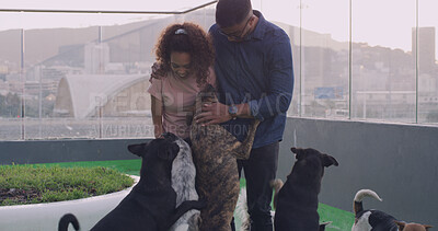 Buy stock photo Hug, couple and dogs at shelter for rescue, foster and choice for animal adoption with love. Pets, happy man and woman at pound for care, play and embrace partner for support at charity together