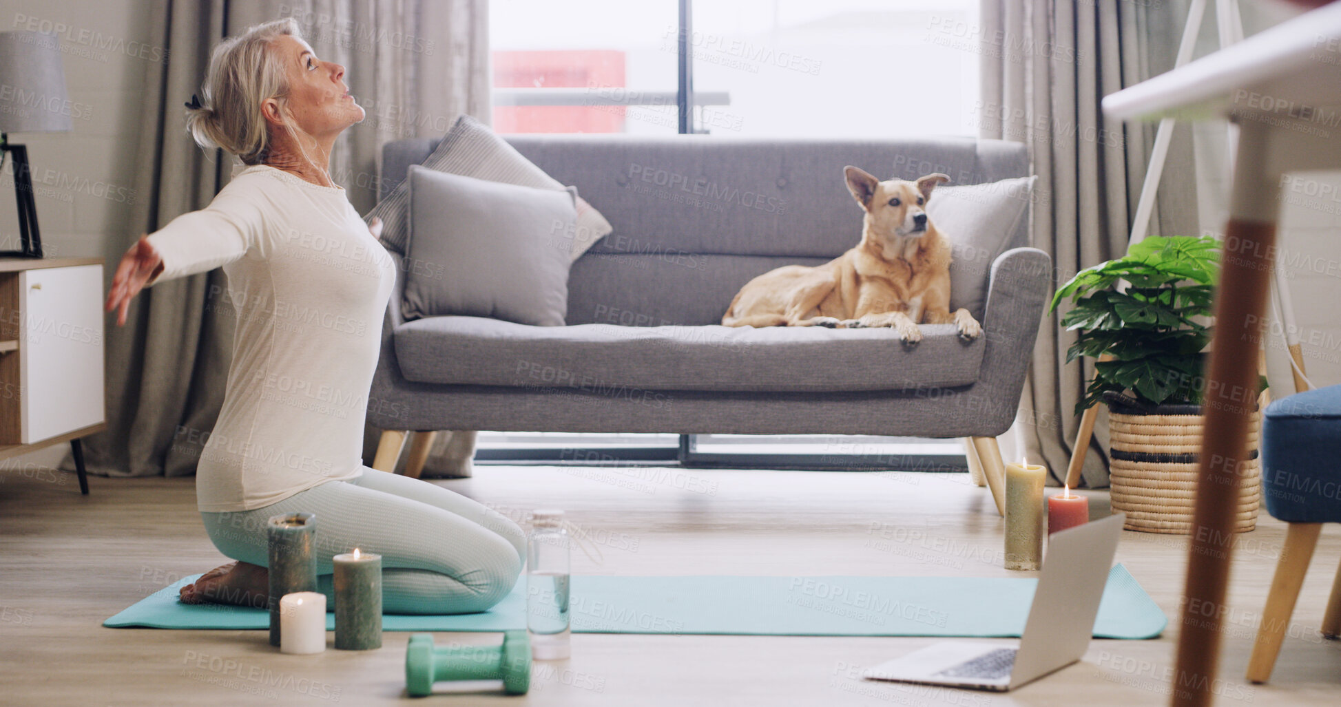 Buy stock photo Laptop, stretching and yoga with woman on living room floor for online class or virtual course. Computer, exercise or flexibility with person and pet dog in apartment for learning or tutorial