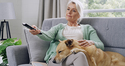 Buy stock photo Mature woman, dog and watching tv on couch, relax and subscription for movies in living room. Person, pet animal and care on sofa for television show, film or streaming series at in lounge apartment