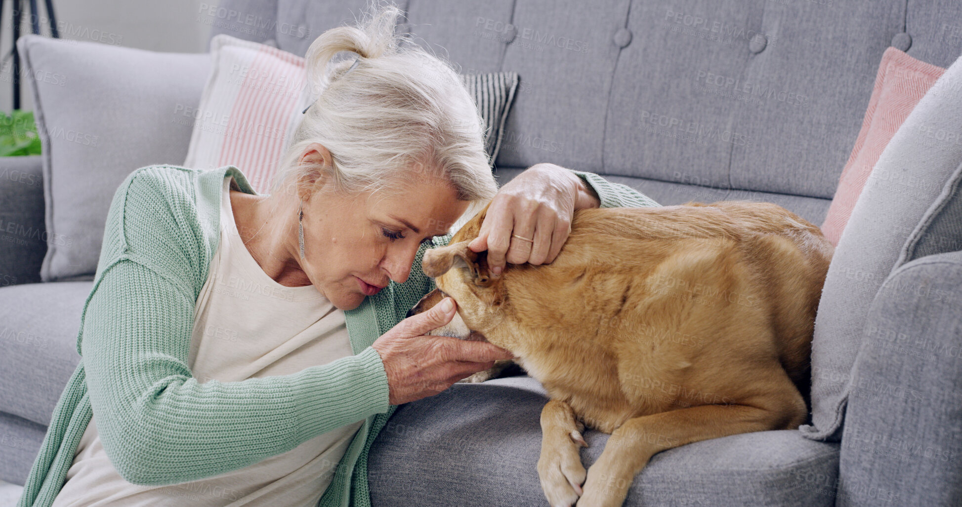 Buy stock photo Love, sofa and senior woman with dog for touch, support and animal care in living room to relax. Best friend, house lounge and mature owner with canine, comfort or pet for bonding together on couch