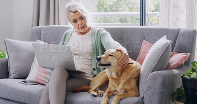Buy stock photo Break, laptop or petting with dog and woman on sofa together for bonding, loyalty or relax. Computer, cuddle or streaming with animal and mature pet owner in apartment for companionship or safety