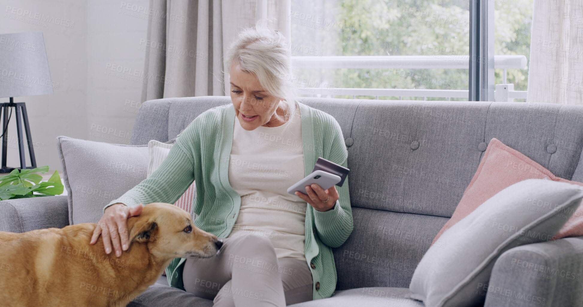 Buy stock photo Credit card, online shopping or phone with dog and old woman on sofa in living room of home. App, ecommerce or payment with animal and customer in apartment for checkout, transfer and transaction