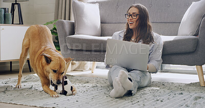 Buy stock photo Laptop, dog and freelancer with woman in home for animal behavior special, blog writer and research. Enrichment toy review, pet care article and remote work with person and puppy in living room