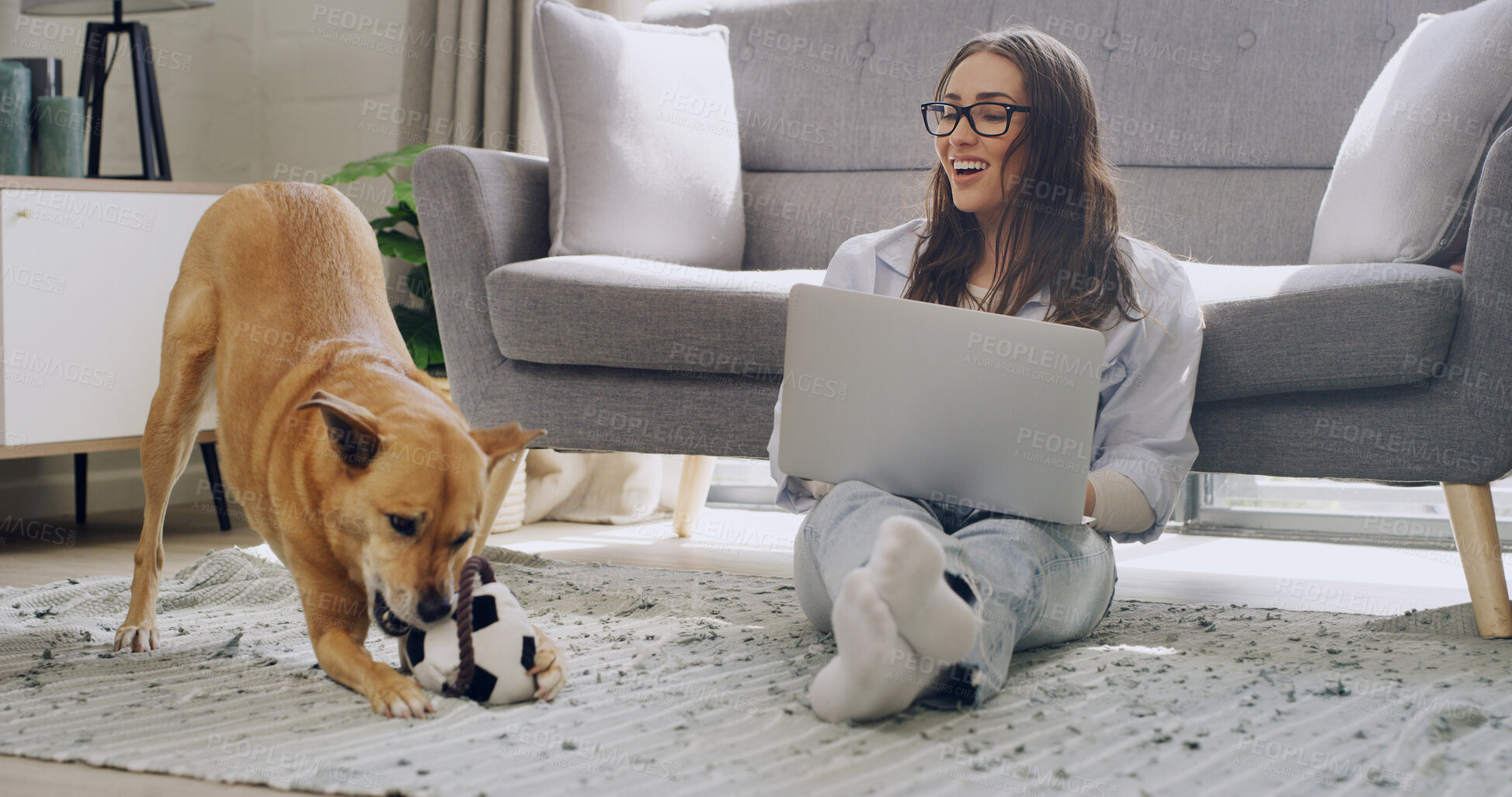 Buy stock photo Laptop, dog and freelancer with woman in home for animal behavior special, blog writer and research. Enrichment toy review, pet care article and remote work with person and puppy in living room