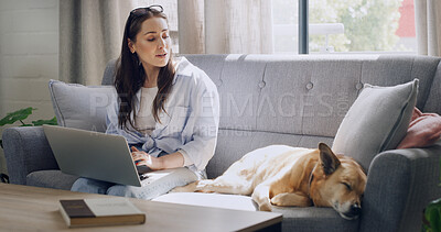 Buy stock photo Home, research and woman with laptop, dog and writer with freelance project, typing or story on web. Remote work, journalist and person with pet in lounge, media and editing article for magazine
