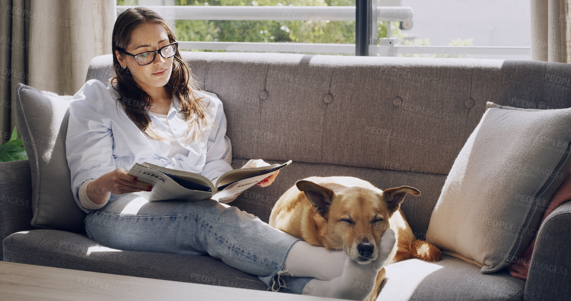 Buy stock photo Relax, book and dog with woman on sofa in home for reading, animal care and loyalty. Glasses, comfortable and trust with person and pet in living room of house for love canine companion and weekend