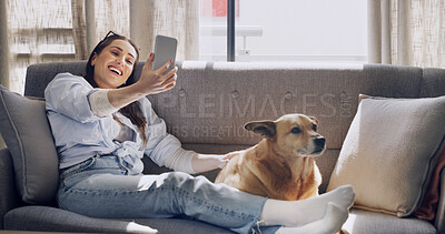 Buy stock photo Dog, selfie and woman laugh in home, relax and pet influencer with social media post. Mobile, animal and person with picture in living room, funny photography and adoption with companion together