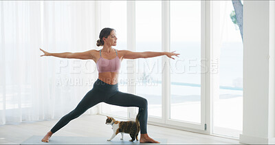 Buy stock photo Woman, stretching and exercise for yoga at house for wellness routine, flexibility and body balance. Person, cat and warrior pose for physical fitness, holistic mobility and control of breathing
