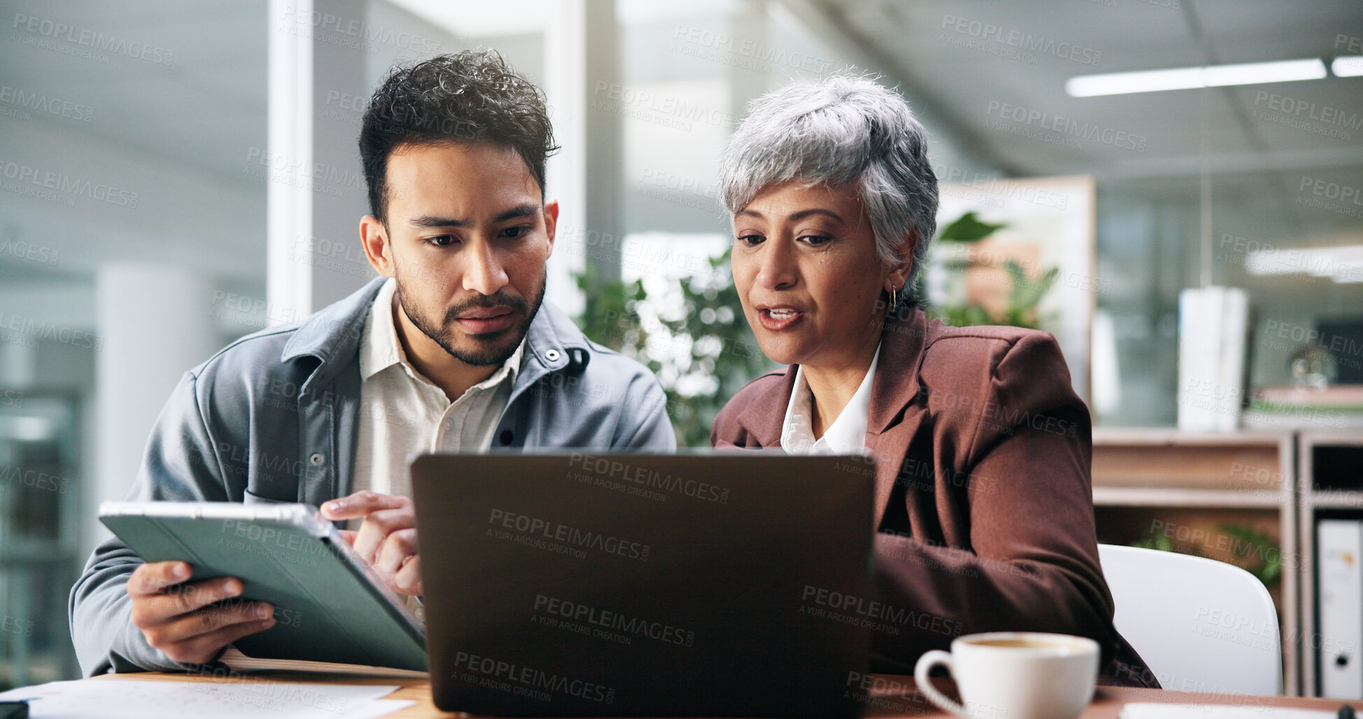 Buy stock photo Creative people, tablet and laptop in office for planning, fact check and help with editor feedback. Staff, team and advice with tech for research, article comparison and information for publication