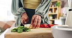 Knife, hands and woman cutting fruit in kitchen for smoothie, health or wellness snack in morning. Diet, nutrition and female person chopping organic ingredients for weight loss drink in apartment.