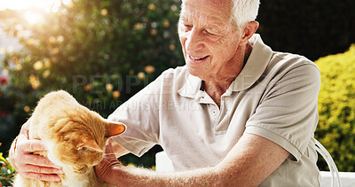 Buy stock photo Retirement, care and old man outdoor with cat, playful and bonding in garden. Happy, sunlight and elderly person in backyard with animal, affection and connection for house pet companionship. 