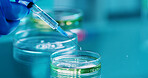 Scientist, person and needle with petri dish for biology, experiment and medical research. Biotech, laboratory and development with liquid sample study for pharmaceutical or pathology process