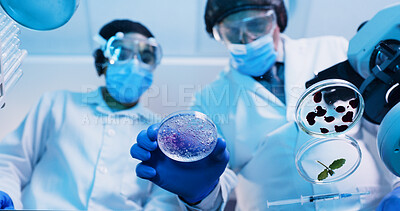 Buy stock photo People, scientist and mixture in petri dish in lab for testing sample, experiment and research. Below, team and purple liquid for chemical reactions, medical study and pathogen detection for medicine