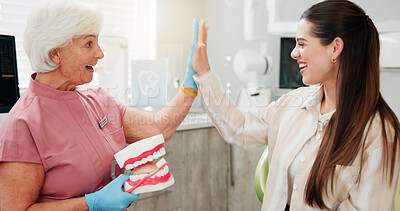 Buy stock photo Healthcare, consulting and high five with women at dentist for 3d model, oral hygiene and orthodontics. Dental treatment, teeth cleaning and support with people in clinic for teaching and gingivitis