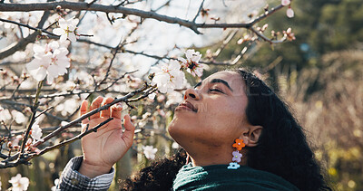 Buy stock photo Outdoor, woman and flower in nature with blossom, gratitude and peace in garden. Wellness, female person and spring season in park with zen, happiness and appreciation for green tree environment. 