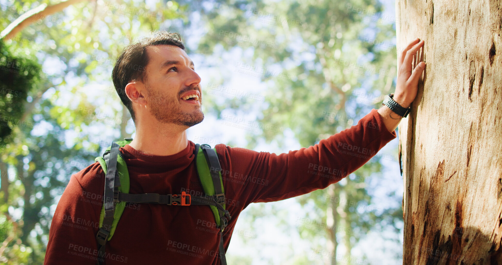 Buy stock photo Touch tree, hiking and happy man in forest for eco tourism, thinking or connection to nature. Vacation, trekking and excited person in woods for trip, travel and reflection for environment protection