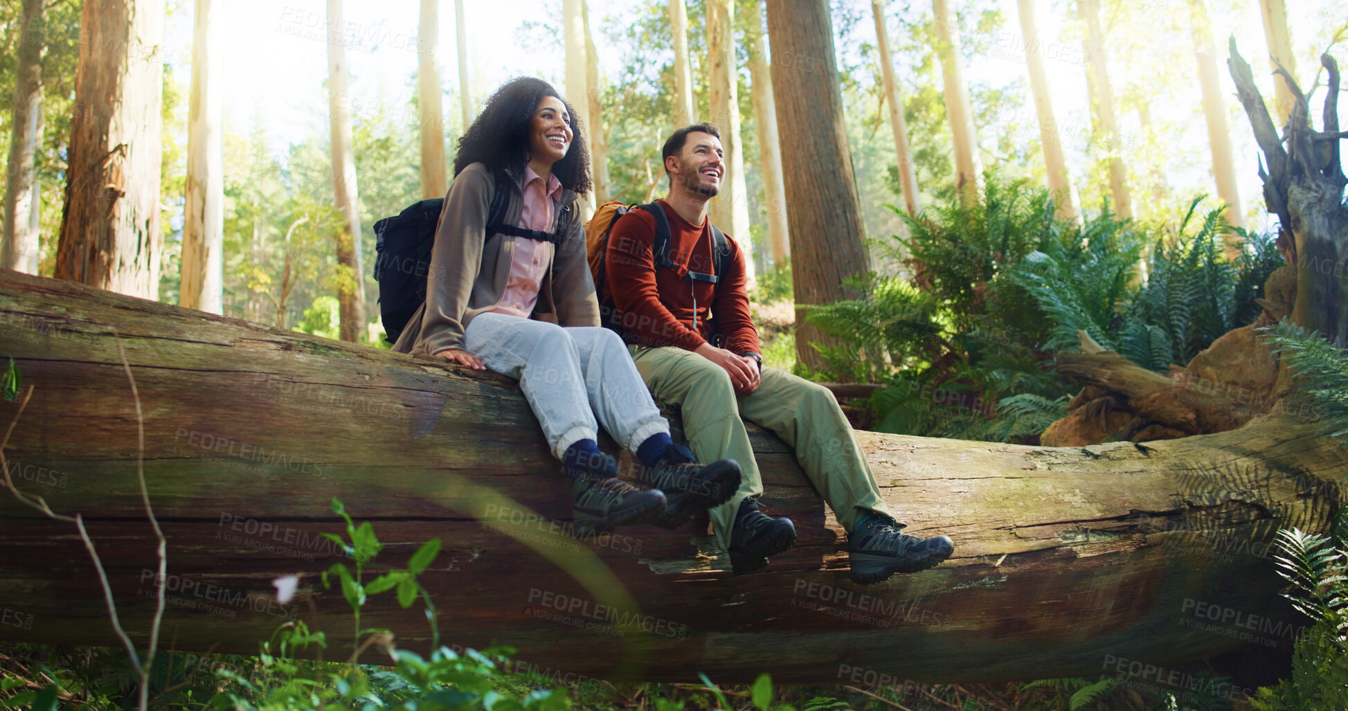 Buy stock photo Couple, hiking and break on log, forest and relax with smile, sightseeing or bonding on travel in summer. Happy woman, man and interracial relationship for trekking, excited and low angle in woods