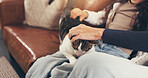 Hands, child and parent with cat on sofa for care, stroke and scratch for love, bonding or relax in home. People, kid and pet animal with touch, cuddle and connection in living room at family house
