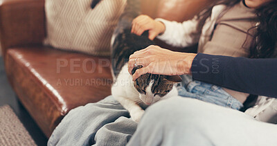 Buy stock photo Hands, child and parent with cat on sofa for care, stroke and scratch for love, bonding or relax in home. People, kid and pet animal with touch, cuddle and connection in living room at family house