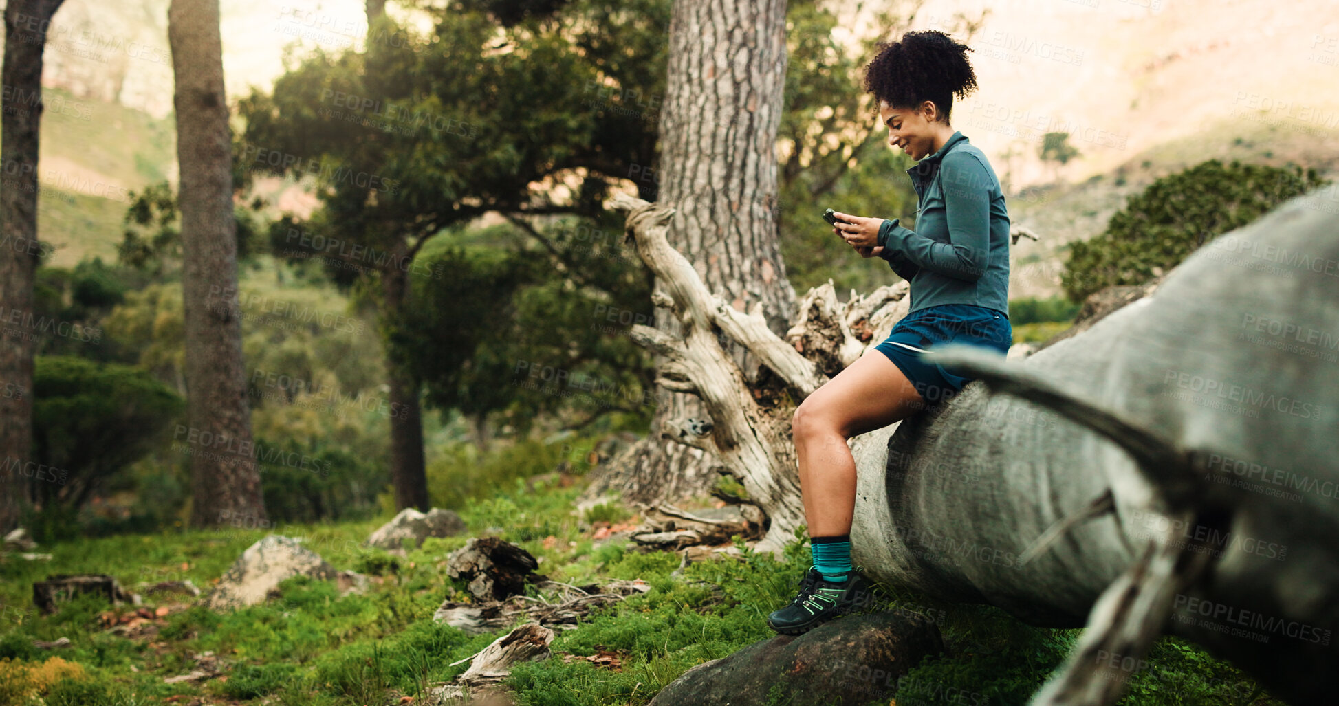 Buy stock photo Hiking, tree and woman in woods with phone for social media post, nature adventure and internet update. Happy, person and connectivity with mobile, scrolling app or search travel info for exploration