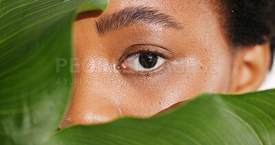 Buy stock photo Eye, skincare and black woman with leaf for natural beauty, portrait or organic cosmetics. Face, aesthetic and model with tropical plant, eco friendly dermatology and mystery on background in studio