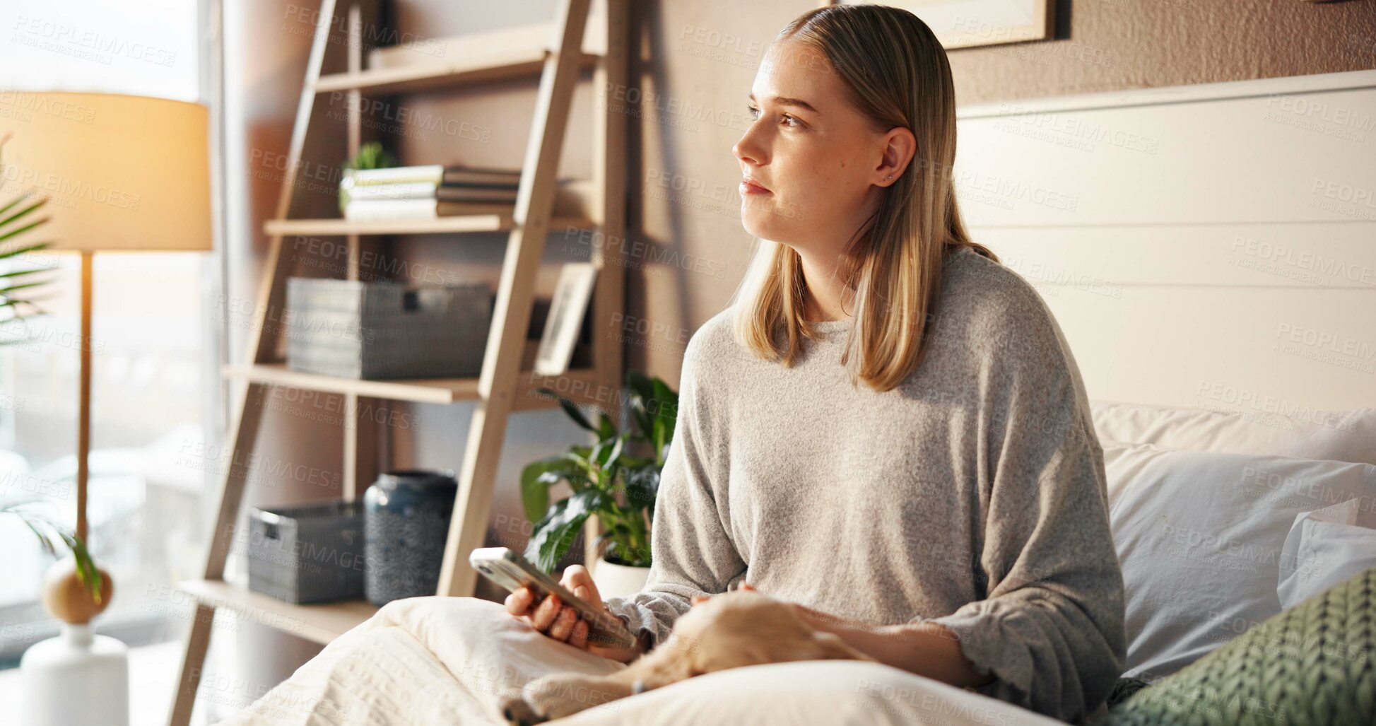 Buy stock photo Thinking, woman and relax with phone on bed for planning, message ideas and social media. Female person, dog and reflection with mobile app, chat feedback and communication for online dating in home