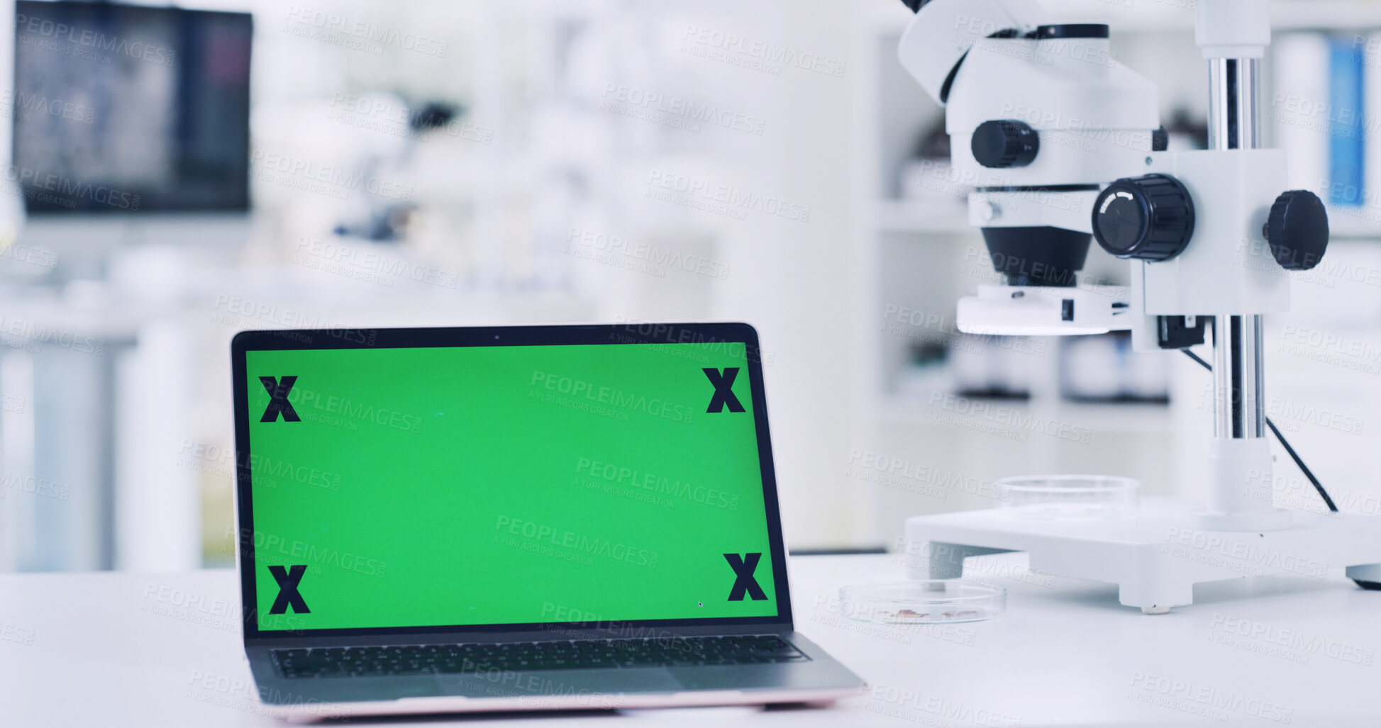 Buy stock photo Laptop, green screen and microscope in lab for research, medical study and testing sample. Equipment, pc and biotechnology for experiment, mockup space and online results for vaccine development
