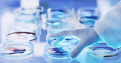 Buy stock photo Medical, hand or person in lab with petri dish, biotechnology or liquid test for vaccine development. Science, dna exam or expert in clinic with gloves, research or analysis in pharmaceutical study.