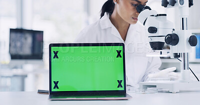 Buy stock photo Woman, scientist and microscope with green screen on laptop for research, medical study and sample. Person, mockup space and pc for experiment, observe organisms and online results for vaccine trial
