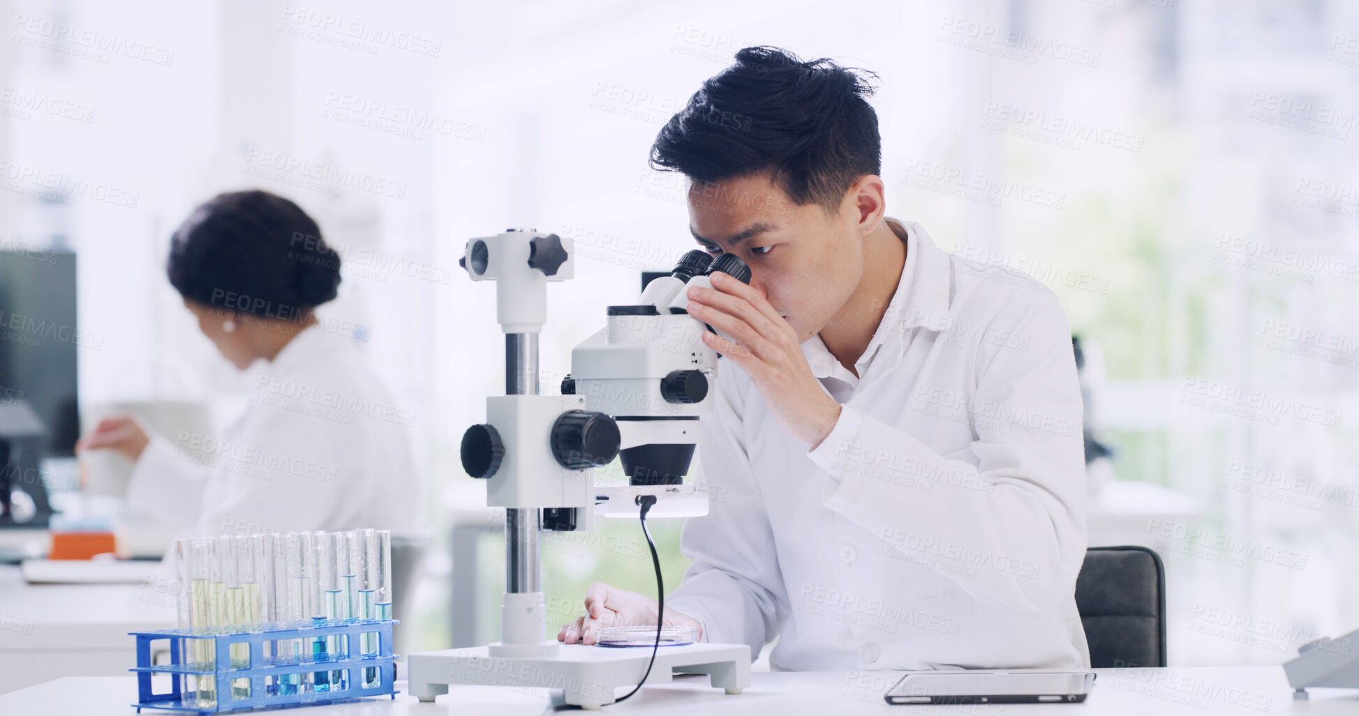 Buy stock photo Microscope, science and man in lab, medical research and experiment with test results. Person, scientist and employee with equipment, forensic analysis and discovery with DNA and clinical trial
