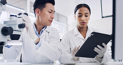 Buy stock photo Lab, scientists and people with tablet, medical research or team with microscope to identify cancer. Talking, man and woman with tech for disease diagnosis, discussion and collaboration for cure
