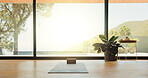 Background, mat and plant in yoga studio for awareness, inner peace or mindfulness session. Block, empty and interior with view of window in gym class for balance, holistic health or wellness