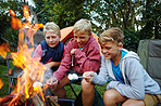 Happiness is... campfire stories and marshmallows