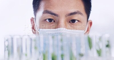 Buy stock photo Science, laboratory and man with plants in test tube for research, medical study and medicine development. Healthcare, biology and scientist with sample for vaccine, discovery and growth experiment