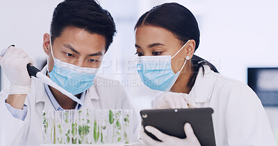 Buy stock photo Team, scientist and pipette for plant research, ecology or sustainable experiment with PPE. Science lab, test tube and people with dropper for growth study, medical development  or botany with tablet
