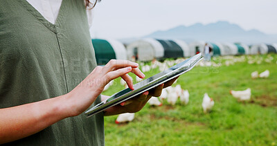 Buy stock photo Tablet, chicken and farm with woman, hands and inspection for agriculture and quality control. Feeding schedule, poultry monitoring and technology with farmer on countryside field for egg records