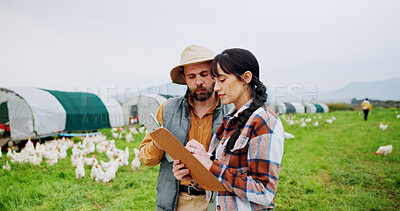 Buy stock photo Agriculture, people or talking with clipboard on chicken farm for flock health, quality control or inspection. Poultry, farmer and team with checklist for egg production, planning or livestock update