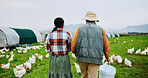 Back, chicken and collaboration with people on farm together for agriculture or sustainability. Agribusiness, poultry and walking with farmer team outdoor on grass field for free range livestock